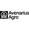 Avenarius